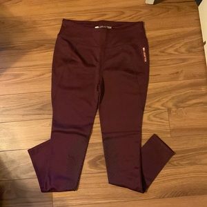 Ariat Tek Winter Riding Legging